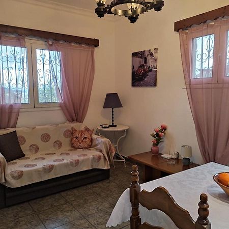 Corfu Countryside Apartment Potamós Eksteriør billede