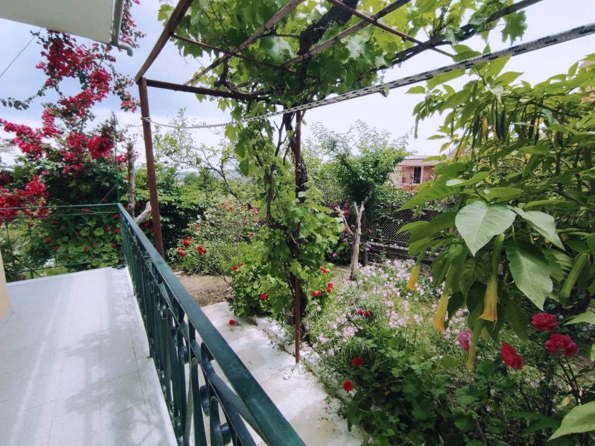 Corfu Countryside Apartment Potamós Eksteriør billede